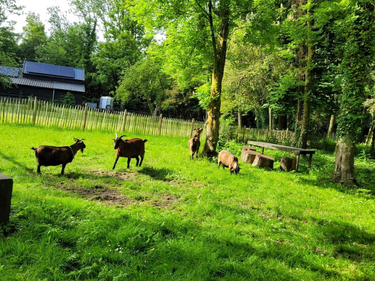 Bed and Breakfast Pastorie Waaxens Esterno foto